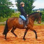 Lisa Maas Dressur - - Reitunterricht Beritt Nalbach Saarland
