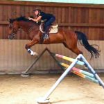 Lisa Maas Spring-Reiten - Reitunterricht Beritt Nalbach Saarland