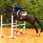 Lisa Maas Springreiten - Reitunterricht Beritt Nalbach Saarland