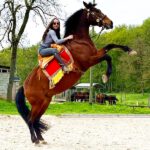 Lisa Maas ohne Sattel - Reitunterricht Beritt Nalbach Saarland