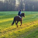 Lisa Maas sm Wald - Reitunterricht Beritt Nalbach Saarland